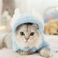 Cat clothes kitten cat cute funny pet