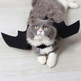 Cute Halloween Cat Costume Small Pet Cat Bat Wings Halloween Cat Wings Hallowen Cat Accessories 2018 Halloween Decorations