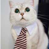 [MPK Store] Cat Toy Cat Costume Clip Tie for Cats and Dogs, Cat Collar