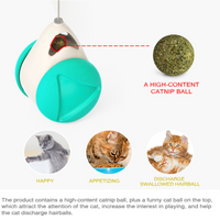 Smart Cat Toy Funny Interactive Cat Toy with Catnip Irregular Rotation Pet Cat Ball Tease Toy Cat Supplies No Battery Needed