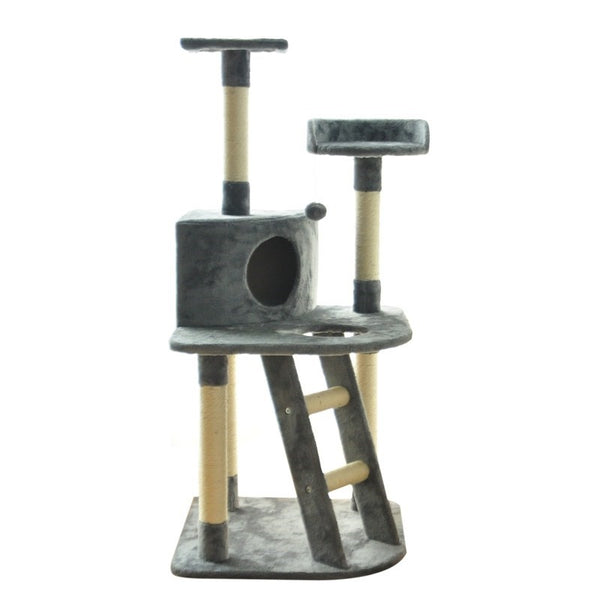 Cat climbing cat litter cat shelf