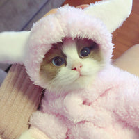 Cat clothes kitten cat cute funny pet