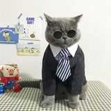 [MPK Store] Cat Toy Cat Costume Clip Tie for Cats and Dogs, Cat Collar