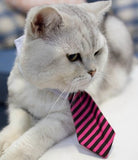 [MPK Store] Cat Toy Cat Costume Clip Tie for Cats and Dogs, Cat Collar