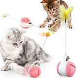 Smart Cat Toy Funny Interactive Cat Toy with Catnip Irregular Rotation Pet Cat Ball Tease Toy Cat Supplies No Battery Needed