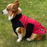 Warm Reversible Dog Coat-Thick Padded Comfortable Winter Dog Jacket, Reflective Safety Dog Vest