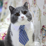 [MPK Store] Cat Toy Cat Costume Clip Tie for Cats and Dogs, Cat Collar