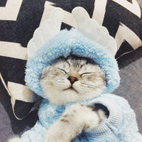 Cat clothes kitten cat cute funny pet