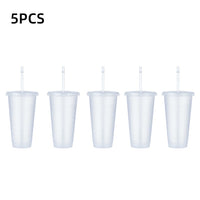 5PCS Flash Powder Water Bottles For Girl With Straw Reusable Hard Plastic Tumbler With lid Coffee Cup Drinkware Christmas Gift